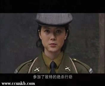 暗算Ⅱ（又名：701别动组）
