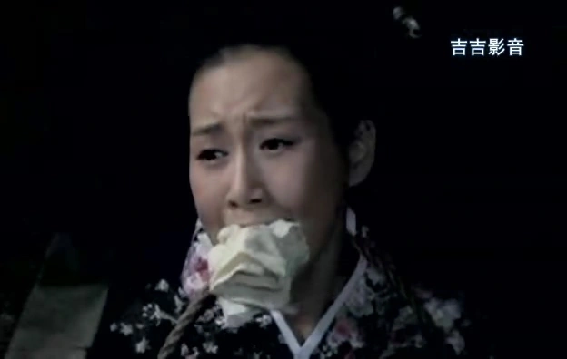 终极对决（又名：一个鬼子都不留3，巅峰对决）