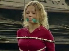 情证