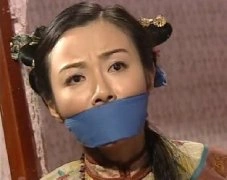 妙手神捕俏佳人