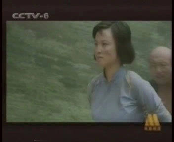 爱枪如命