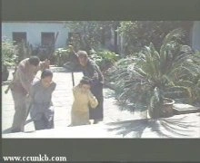 陈炜
