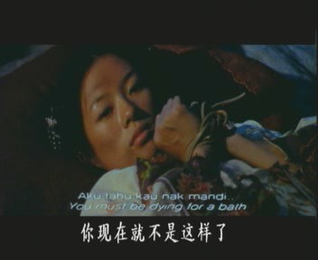 卧虎藏龙（电影版）