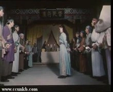 陈琦