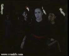陈琦