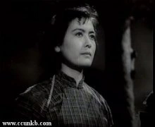 杨雅琴
