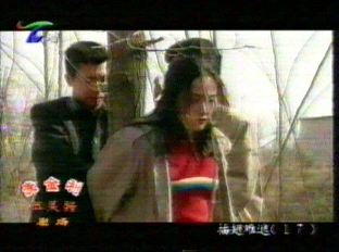 插翅难逃