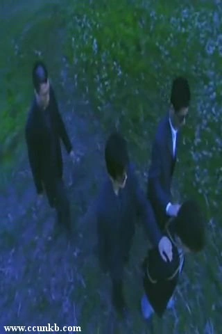 宋春丽