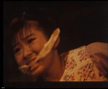 东瀛游侠