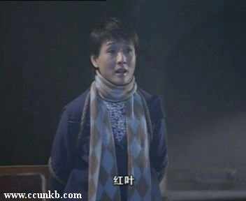 孔琳