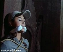 曹颖