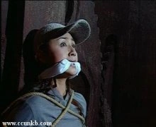 曹颖