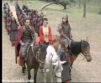 舒淇