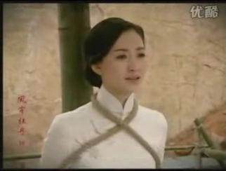 凤穿牡丹