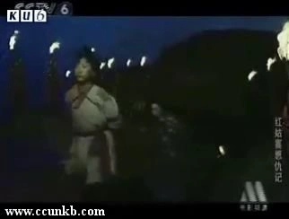张鸣鸣