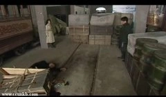 秦岚