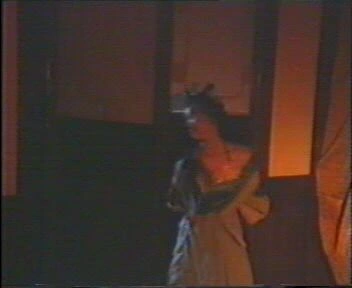 狐侠