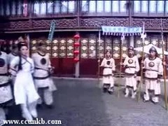 何赛飞