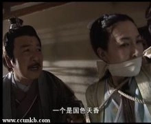 李小冉