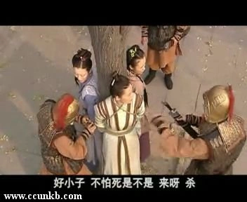 王思懿，佚名