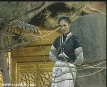 李小冉