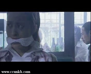 戴琦