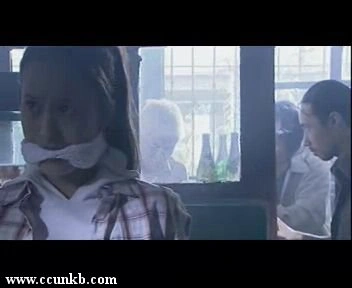 戴琦
