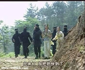 李小冉