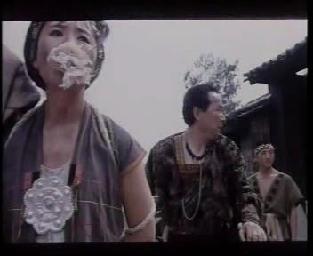 泪血罂粟花