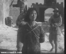 胡宗温