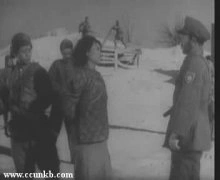 胡宗温