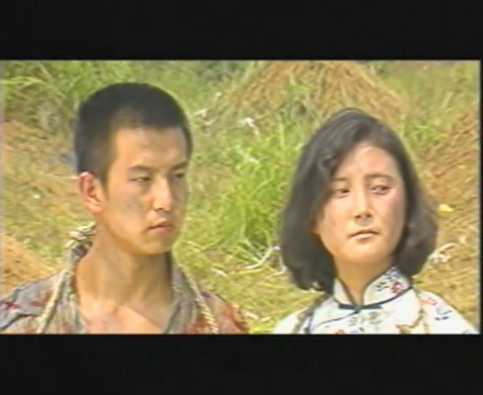 南阳大会战