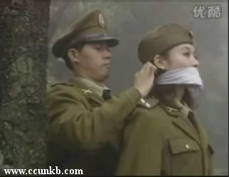 郑爽