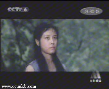 薛淑杰