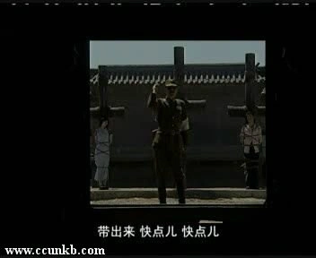 童蕾