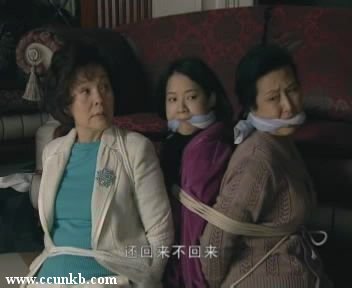 归亚蕾,曾宝仪,佚名