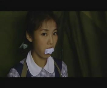 如此多娇