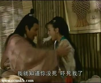 曾宝仪