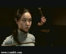 赵佳