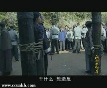 张晗