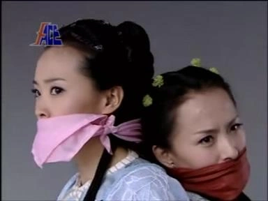 少年宝亲王