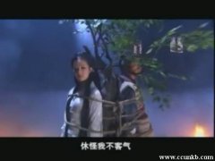 神雕侠侣（刘亦菲版）