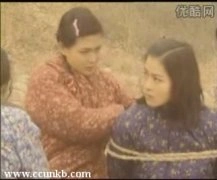 祁艳,王小娟