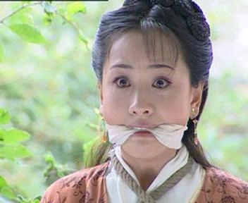 天崖追杀令