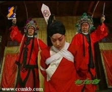马伊琍