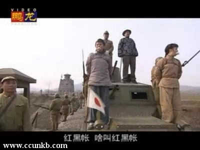 史兰芽,王琦