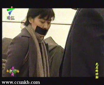丛珊