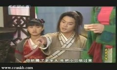 王莎莎*
