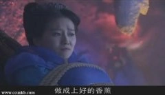 刘诗诗*