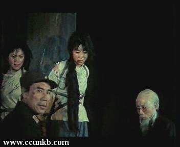 李小婉，张跃平